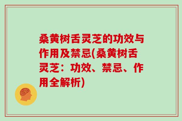桑黄树舌灵芝的功效与作用及禁忌(桑黄树舌灵芝:功效、禁忌、作用全解析)