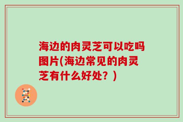 海边的肉灵芝可以吃吗图片(海边常见的肉灵芝有什么好处?)
