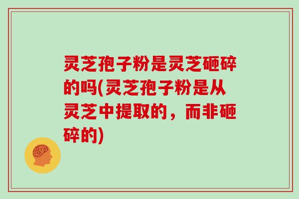 灵芝孢子粉是灵芝砸碎的吗(灵芝孢子粉是从灵芝中提取的,而非砸碎的)