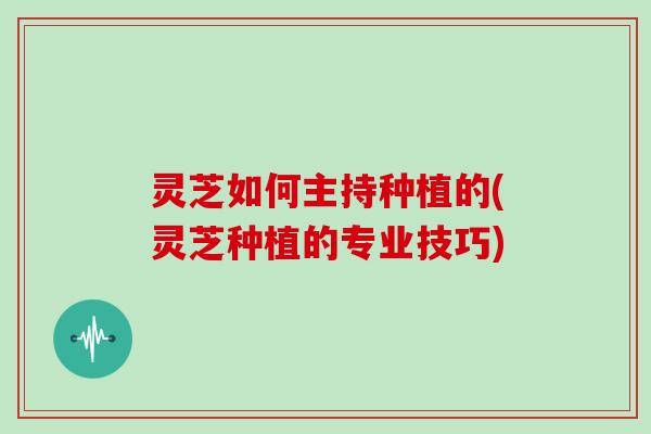 灵芝如何主持种植的(灵芝种植的专业技巧)