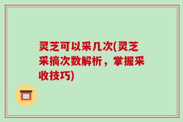 灵芝可以采几次(灵芝采摘次数解析,掌握采收技巧)