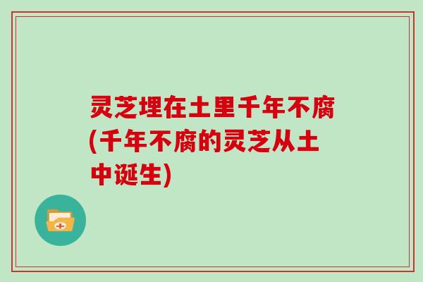 灵芝埋在土里千年不腐(千年不腐的灵芝从土中诞生)