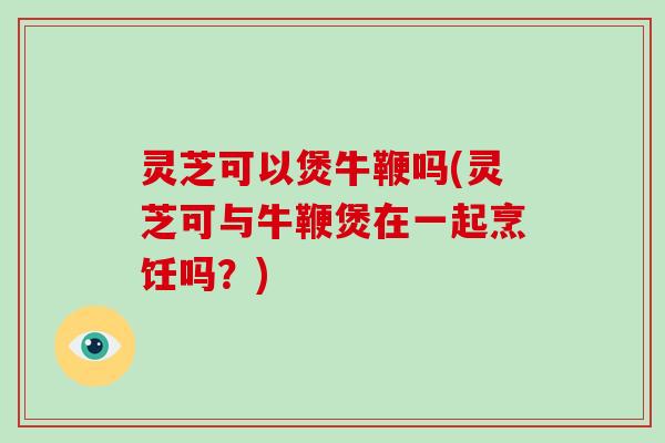 灵芝可以煲牛鞭吗(灵芝可与牛鞭煲在一起烹饪吗?)