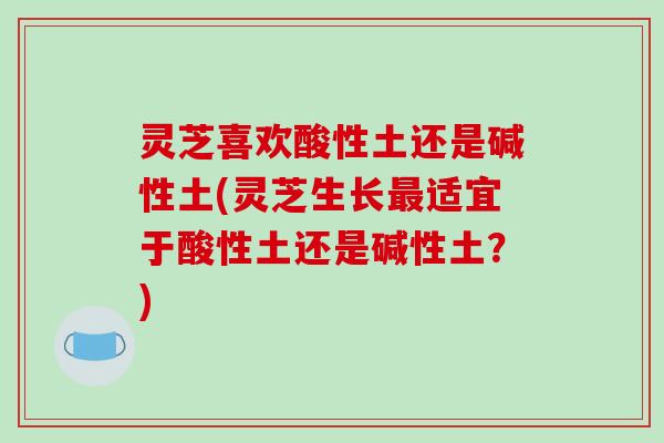 灵芝喜欢酸性土还是碱性土(灵芝生长最适宜于酸性土还是碱性土?)