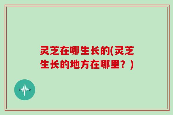 灵芝在哪生长的(灵芝生长的地方在哪里?)