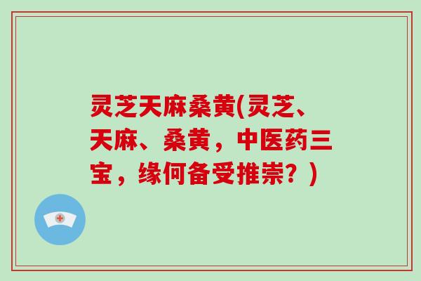 灵芝天麻桑黄(灵芝、天麻、桑黄,中医药三宝,缘何备受推崇?)