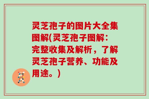 灵芝孢子的图片大全集图解(灵芝孢子图解：完整收集及解析，了解灵芝孢子营养、功能及用途。)