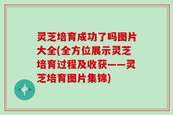 灵芝培育成功了吗图片大全(全方位展示灵芝培育过程及收获——灵芝培育图片集锦)