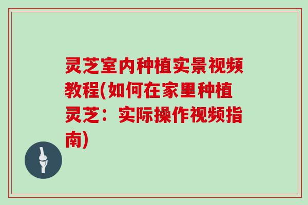 灵芝室内种植实景视频教程(如何在家里种植灵芝:实际操作视频指南)