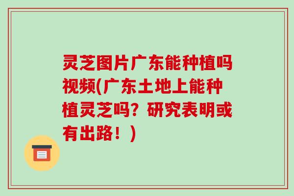 灵芝图片广东能种植吗视频(广东土地上能种植灵芝吗？研究表明或有出路！)