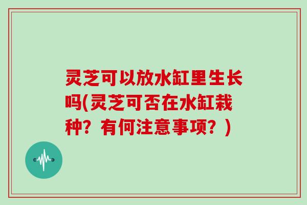 灵芝可以放水缸里生长吗(灵芝可否在水缸栽种?有何注意事项?)