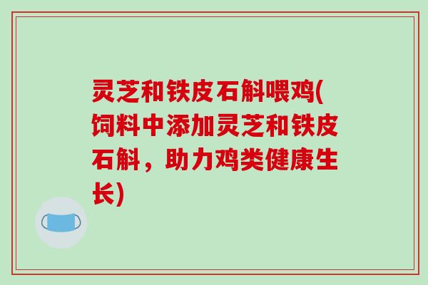 灵芝和铁皮石斛喂鸡(饲料中添加灵芝和铁皮石斛，助力鸡类健康生长)