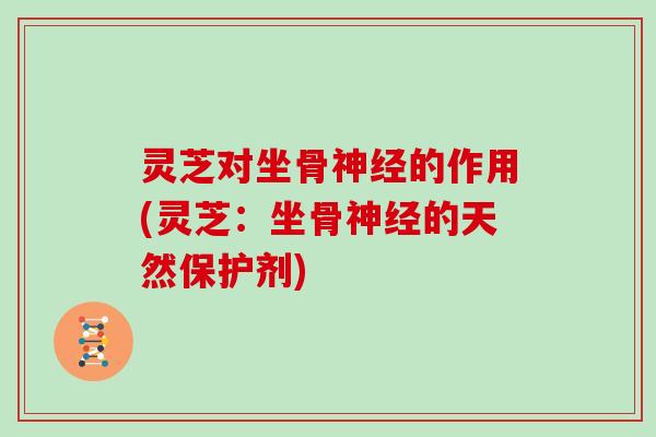 灵芝对坐骨神经的作用(灵芝:坐骨神经的天然保护剂)