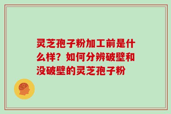 灵芝孢子粉加工前是什么样?如何分辨破壁和没破壁的灵芝孢子粉