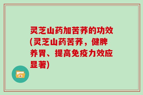 灵芝山药加苦荞的功效(灵芝山药苦荞，健脾养胃、提高免疫力效应显著)