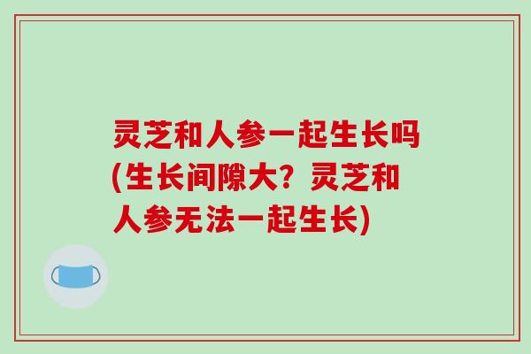 灵芝和人参一起生长吗(生长间隙大？灵芝和人参无法一起生长)