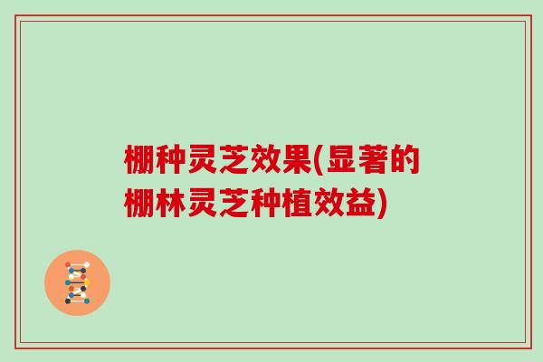 棚种灵芝效果(显著的棚林灵芝种植效益)