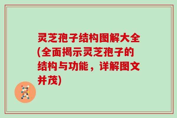 灵芝孢子结构图解大全(全面揭示灵芝孢子的结构与功能,详解图文并茂)
