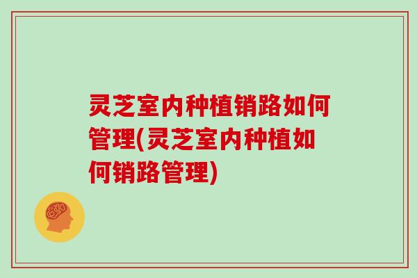 灵芝室内种植销路如何管理(灵芝室内种植如何销路管理)