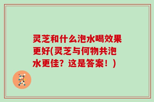 灵芝和什么泡水喝效果更好(灵芝与何物共泡水更佳?这是答案!)