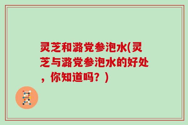 灵芝和潞党参泡水(灵芝与潞党参泡水的好处，你知道吗？)