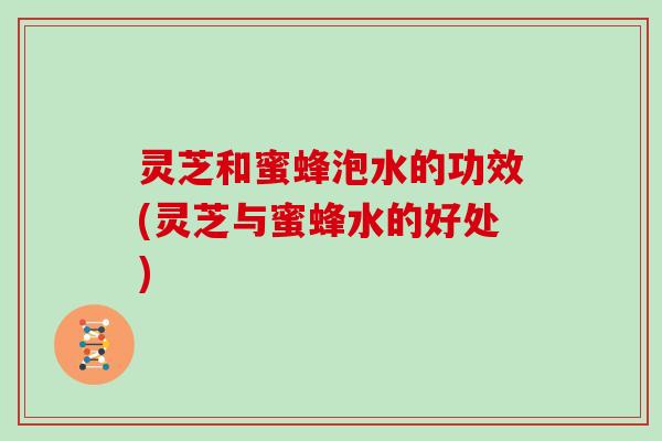 灵芝和蜜蜂泡水的功效(灵芝与蜜蜂水的好处)