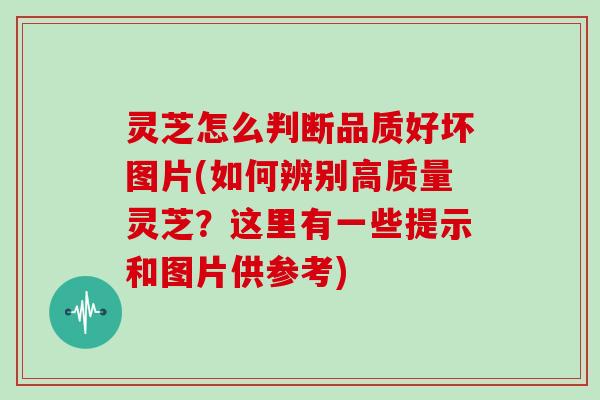 灵芝怎么判断品质好坏图片(如何辨别高质量灵芝?这里有一些提示和图片供参考)