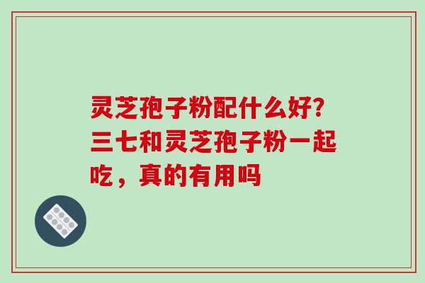 灵芝孢子粉配什么好?三七和灵芝孢子粉一起吃,真的有用吗