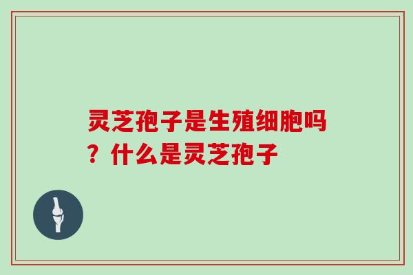 灵芝孢子是生殖细胞吗？什么是灵芝孢子