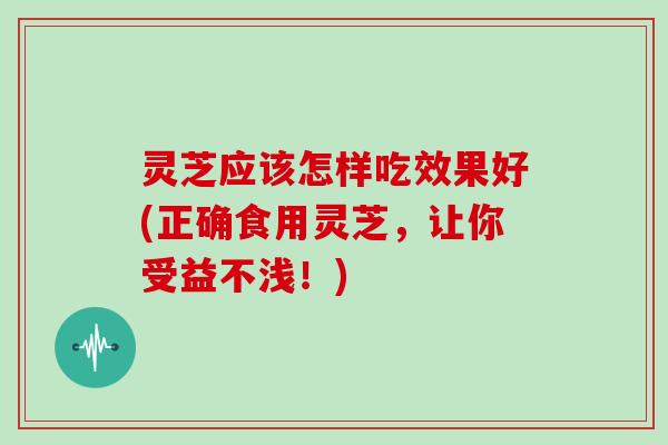 灵芝应该怎样吃效果好(正确食用灵芝,让你受益不浅!)