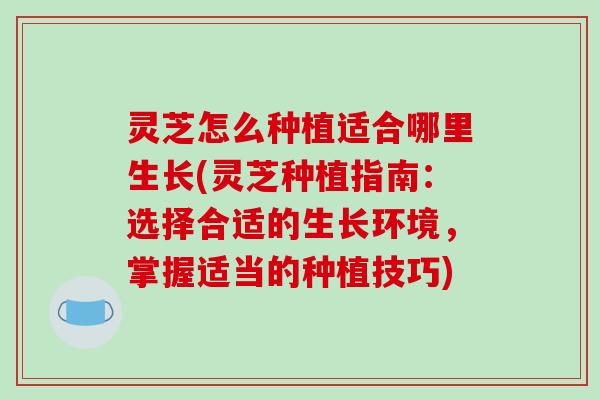 灵芝怎么种植适合哪里生长(灵芝种植指南：选择合适的生长环境，掌握适当的种植技巧)