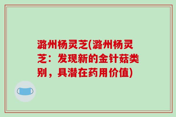 潞州杨灵芝(潞州杨灵芝：发现新的金针菇类别，具潜在药用价值)