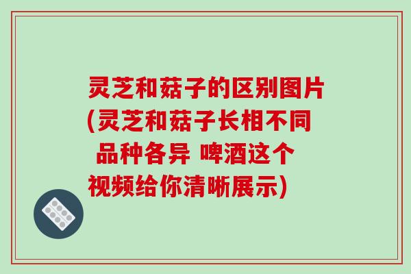 灵芝和菇子的区别图片(灵芝和菇子长相不同 品种各异 啤酒这个视频给你清晰展示)