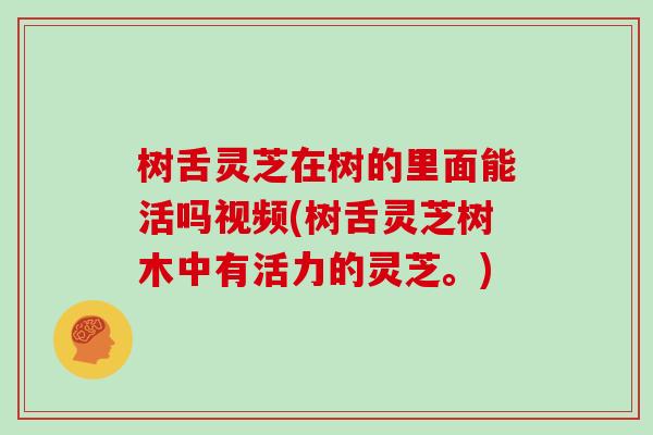 树舌灵芝在树的里面能活吗视频(树舌灵芝树木中有活力的灵芝。)