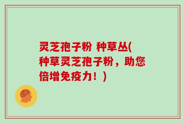 灵芝孢子粉 种草丛(种草灵芝孢子粉,助您倍增免疫力!)