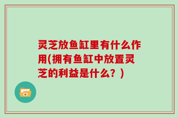 灵芝放鱼缸里有什么作用(拥有鱼缸中放置灵芝的利益是什么？)
