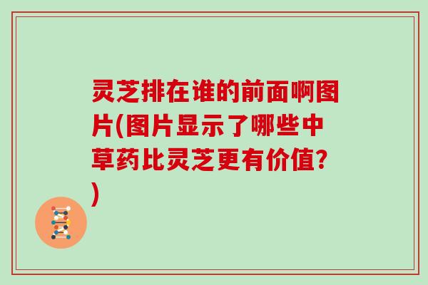 灵芝排在谁的前面啊图片(图片显示了哪些中草药比灵芝更有价值?)