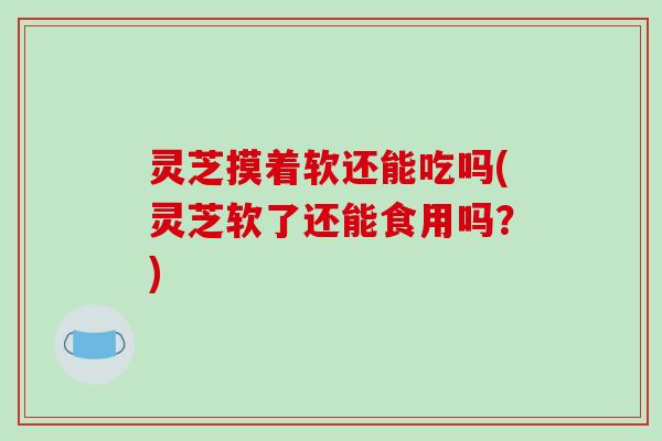 灵芝摸着软还能吃吗(灵芝软了还能食用吗？)