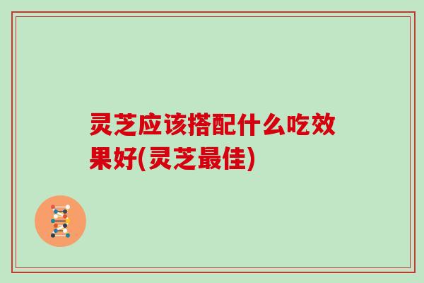灵芝应该搭配什么吃效果好(灵芝最佳)