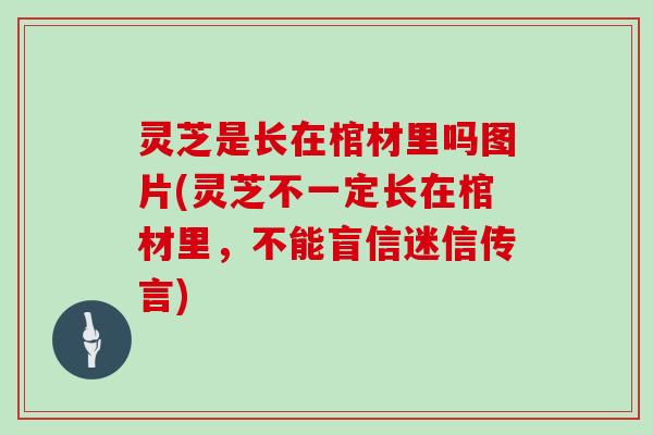 灵芝是长在棺材里吗图片(灵芝不一定长在棺材里，不能盲信迷信传言)