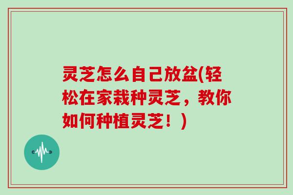 灵芝怎么自己放盆(轻松在家栽种灵芝,教你如何种植灵芝!)