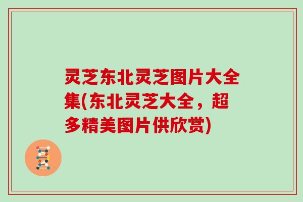 灵芝东北灵芝图片大全集(东北灵芝大全，超多精美图片供欣赏)