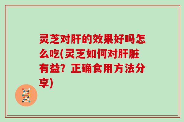 灵芝对肝的效果好吗怎么吃(灵芝如何对肝脏有益？正确食用方法分享)