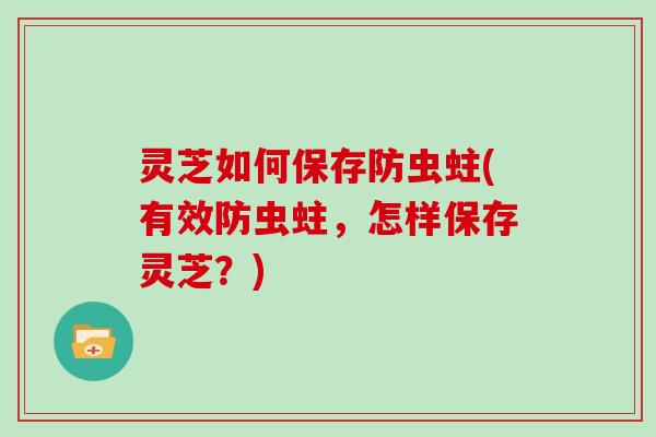 灵芝如何保存防虫蛀(有效防虫蛀，怎样保存灵芝？)