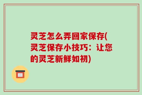 灵芝怎么弄回家保存(灵芝保存小技巧:让您的灵芝新鲜如初)