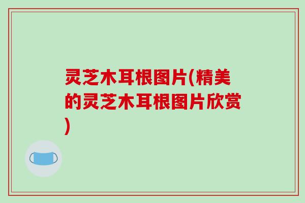 灵芝木耳根图片(精美的灵芝木耳根图片欣赏)
