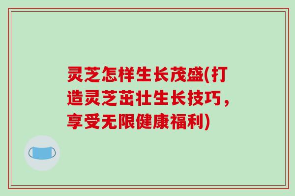 灵芝怎样生长茂盛(打造灵芝茁壮生长技巧,享受无限健康福利)