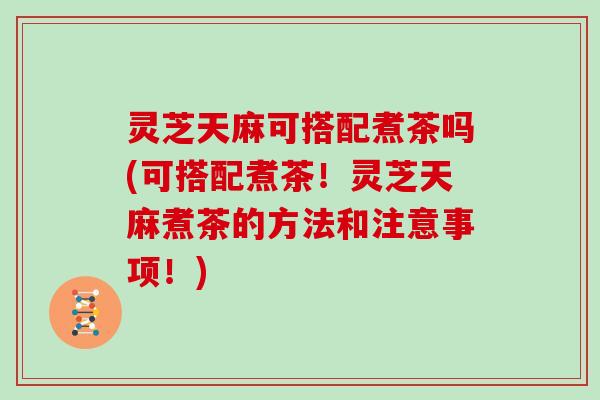 灵芝天麻可搭配煮茶吗(可搭配煮茶！灵芝天麻煮茶的方法和注意事项！)