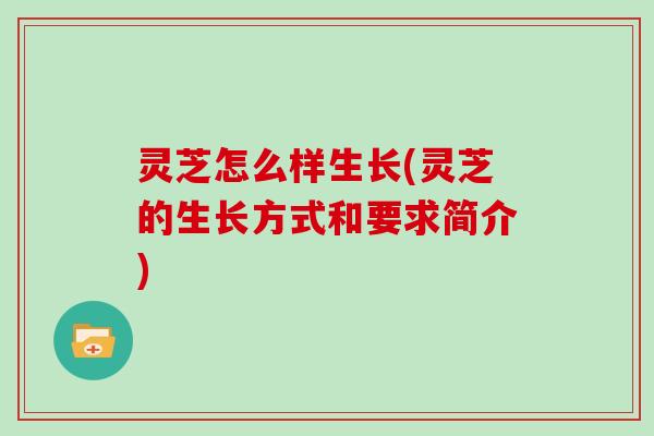 灵芝怎么样生长(灵芝的生长方式和要求简介)