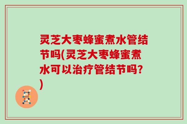 灵芝大枣蜂蜜煮水管结节吗(灵芝大枣蜂蜜煮水可以治疗管结节吗?)